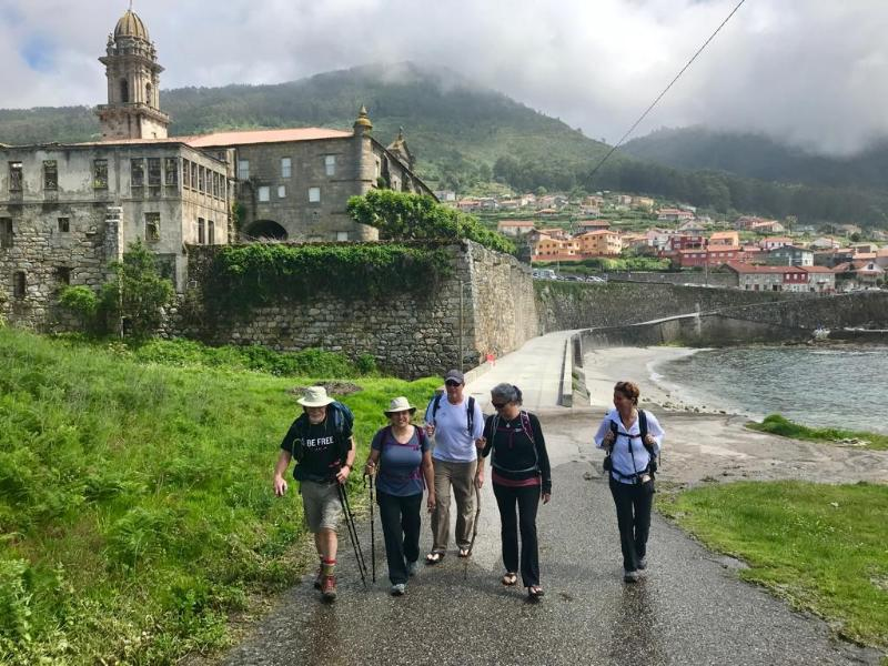 The Art and Science of Walking